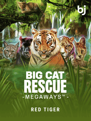 Big Cat Rescue Megaways™png thumbnail